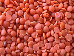 lentille-corail.jpg