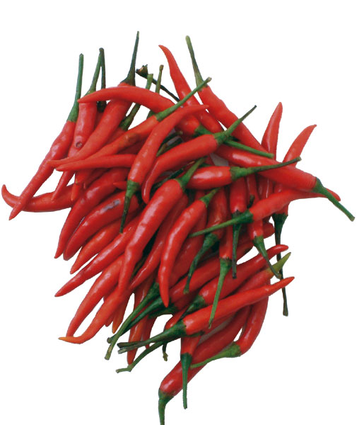 red-chilli.jpg